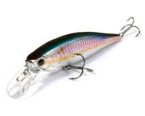  Lucky Craft Pointer 100 SP-270 MS American Shad, 100, 16.5, , 1,2-1,5 -  -   