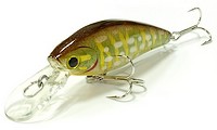 Lucky Craft Bevy Shad~TanGo~ 881 Ghost Northern Pike