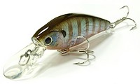 Lucky Craft Bevy Shad~TanGo~ 895 Ghost Blue Gill
