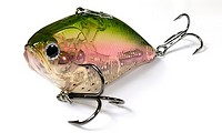 EPG LVR D30RT-817 Ghost Rainbow Trout