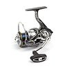  Nautilus Grey 3000 -  -   