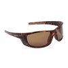   Nautilus F06    -  -   