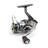  Nautilus Grey 2500 -  -   