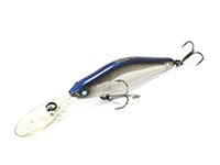 Shad -  -    