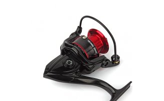  Nautilus Verona 2000* -  -    -  3
