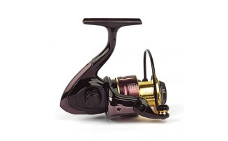  Nautilus Argent 2000 -  -    -  2