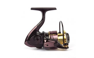  Nautilus Argent 1000* -  -    -  2