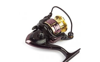  Nautilus Argent 1000* -  -    -  3