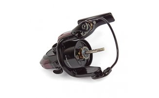  Nautilus Argent 1000* -  -    -  4