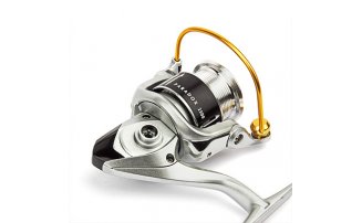  Nautilus Paradox 2500 -  -    -  3