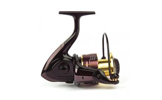  Nautilus Argent 4000* -  -    -  2