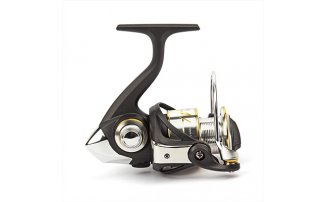  Nautilus Xeptor 2000* -  -    -  2