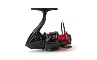  Nautilus Verona 1000 -  -    -  2