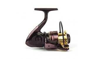  Nautilus Argent 2500* -  -    -  2