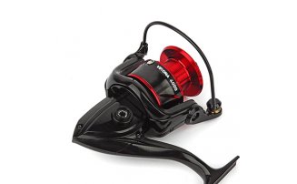  Nautilus Verona 4000 -  -    -  3