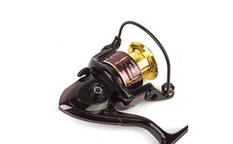  Nautilus Argent 2000 -  -    -  3