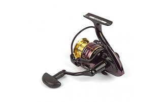  Nautilus Argent 2000 -  -    -  1