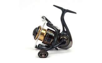  Nautilus Slait 2000 -  -    -  4