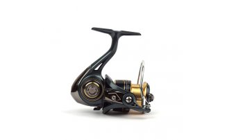  Nautilus Slait 2000 -  -    -  2