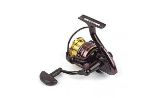  Nautilus Argent 2500* -  -    -  1