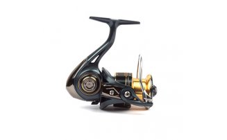  Nautilus Slait 3000 -  -    -  2