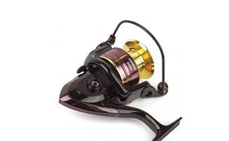  Nautilus Argent 5000 -  -    -  3
