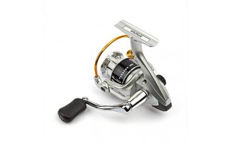  Nautilus Paradox 2000 -  -    -  1