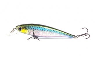  Lucky Craft Pointer 78-192 MS Japan Shad, 78, 9,2, , 1,2-1,5 -  -    -  1