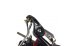  Nautilus Avior 4000     -  -     - thumb 2