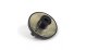  Nautilus N/Feed 6000S -  -     - thumb 6