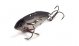 Блесна-цикада Generic Craft Flicker 40, 4см, 6г, цв.701, арт. 278207 - оптовый интернет-магазин рыболовных товаров Пиранья - thumb