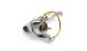  Nautilus Paradox 2000 -  -     - thumb 4