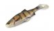 Мягкая приманка Savage Gear 4D LB River Roach 220 Zander, 22см, 125гр, 1шт, арт.63715 - оптовый интернет-магазин рыболовных товаров Пиранья  - thumb 1