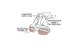   Torvi        .37 -  -     - thumb 1