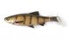 Мягкая приманка Savage Gear 4D LB River Roach 180 Zander, 18см, 70гр, уп.10шт, арт.63707 - оптовый интернет-магазин рыболовных товаров Пиранья  - thumb 2
