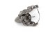 ������� Nautilus Legally 3000 NEW - ������� ��������-������� ���������� ������� �������  - thumb 4
