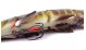 Мягкая приманка Savage Gear 4D Line Thru Pike 250 Slow Sink Striped Pike, 25см, 105гр, медленно тонущая, арт.61788 - оптовый интернет-магазин рыболовных товаров Пиранья  - thumb 2