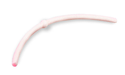   TroutMania Doshirak 4,0", 10.16, 1,0, .405 Pink&White (Bubble Gum), .12 -  -   