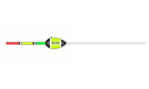  SPECTOR PU  23430  3,0 -  -   