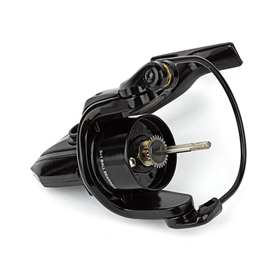  Nautilus Verona 2000* -  -    4