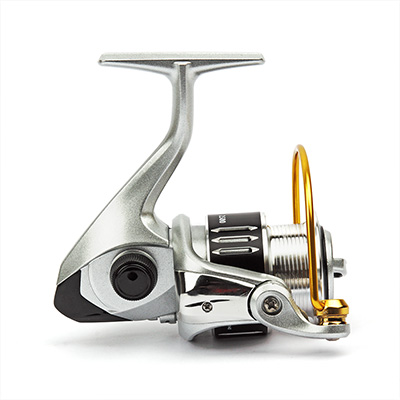 Nautilus Paradox 2500 -  -    2