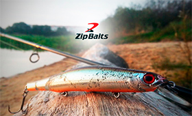 zipbaits-logo-280.jpg