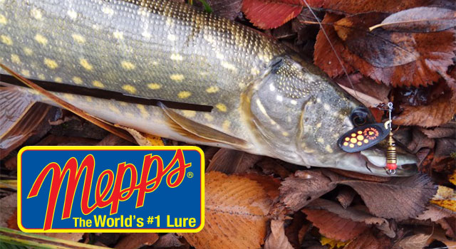 mepps-banner1-640.jpg
