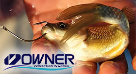 Banner-280.jpg