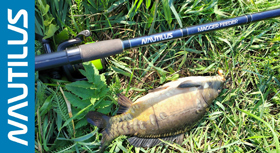 feeder-banner-280-1.jpg