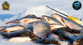 winter-pirs-prime-280.jpg