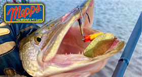 banner-280.jpg