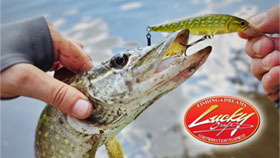 banner-280.jpg