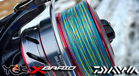 YGK-Daiwa-Logo-280.jpg