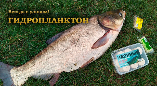 gidroplankton-640x350.jpg gidroplankton-640x350.jpg